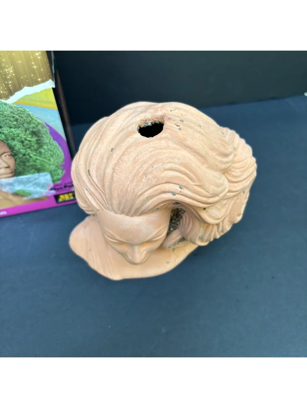 RuPaul Drag Queen Chia Pet Bust, Limited, Decorative Planter Gift